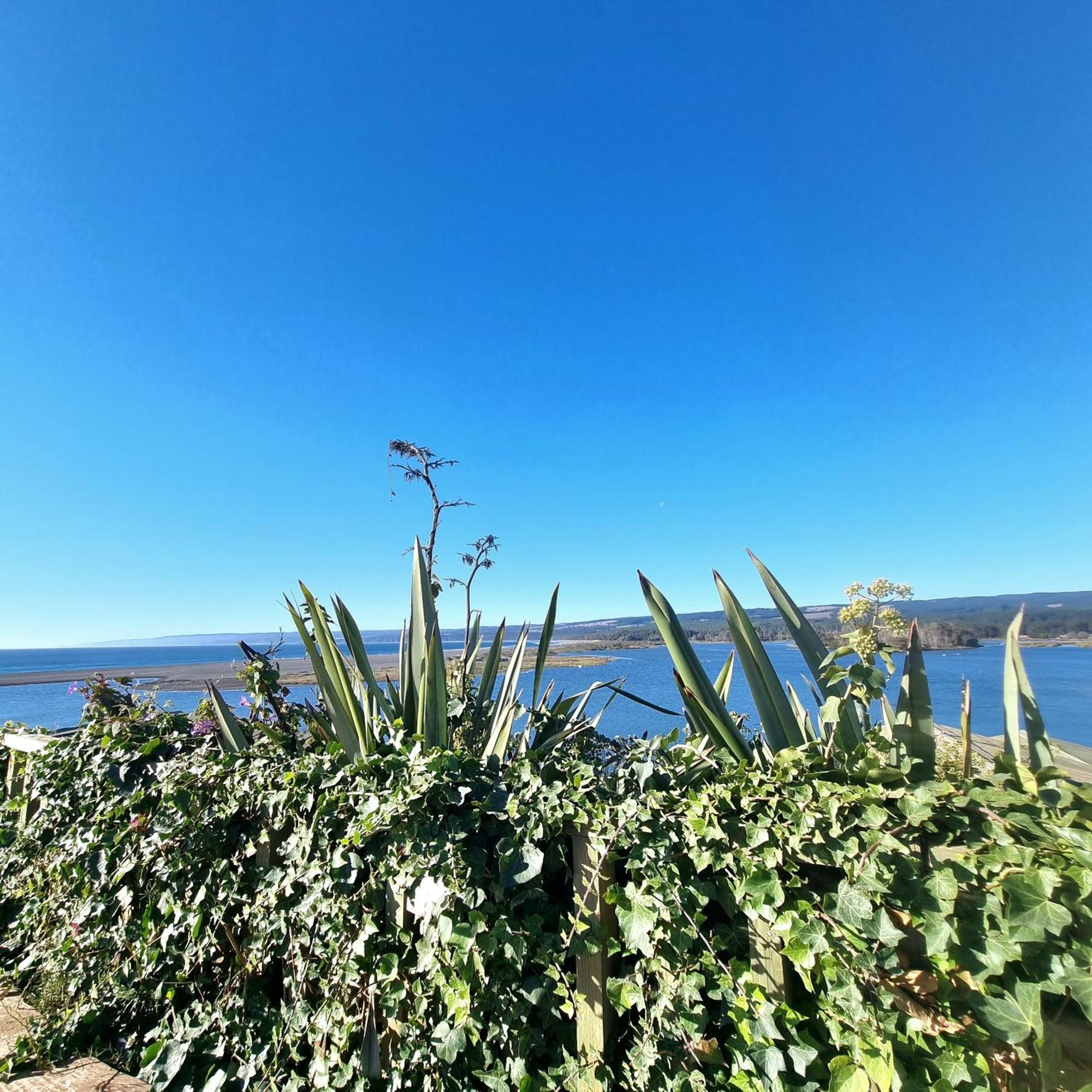 Hotel Max & Mar Pichilemu Exterior foto